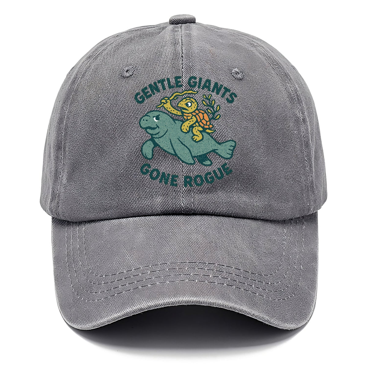 Rogue Cartoon Washed Cap