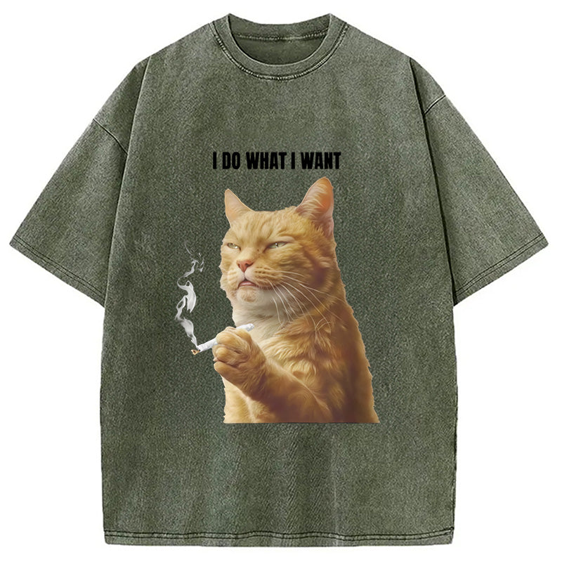 I Do What I Want Washed T-Shirt