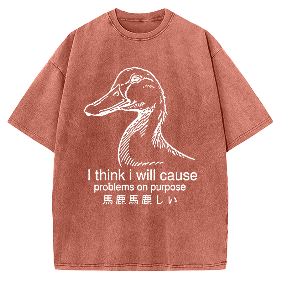 Funny Goose Vintage Washed T-shirt