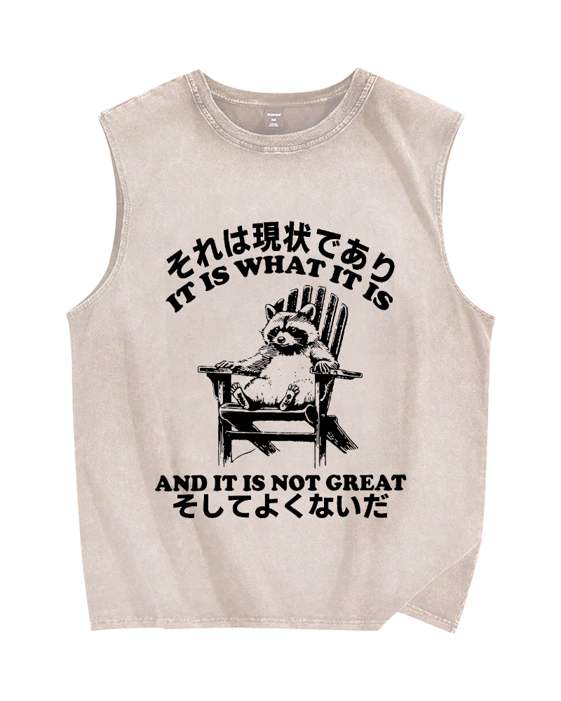 Bad Condition Raccoon Vintage Distressed Washed Tank Top