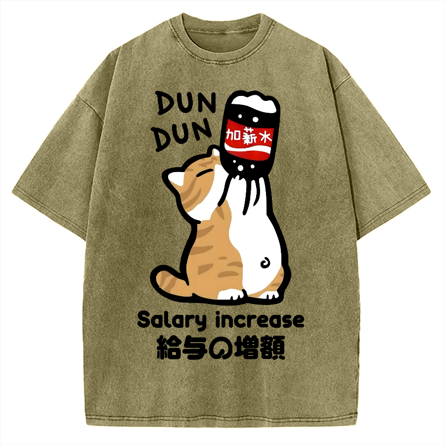 Salary Increase Vintage Washed T-shirt