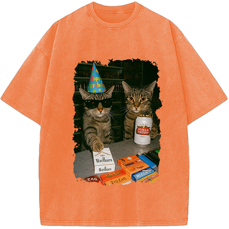 Unisex Cat Birthday Vibes: No Rules Vintage Washed T-Shirt