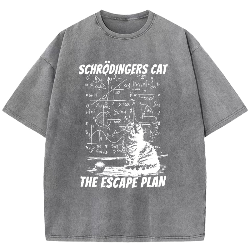 Schrodinger's Cat Washed T-Shirt