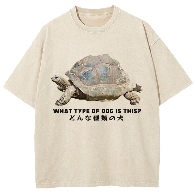 Slow Crawling Dog Washed T-Shirt