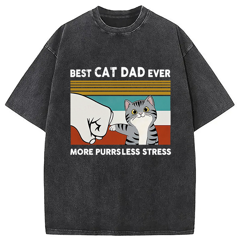 Funny Cat Dad Washed T-Shirt