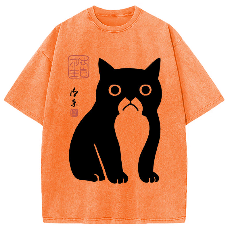 Funny Zen Cat Meme Washed T-Shirt
