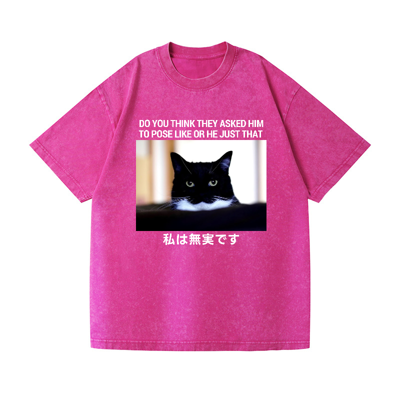 Cat Vintage Wash Japanese Design T-Shirt