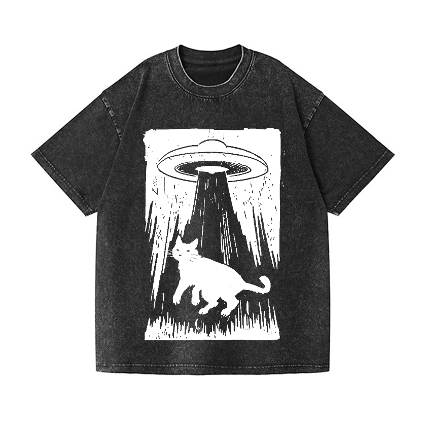 Vintage Wash Japanese Design T-Shirt