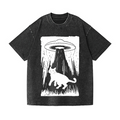 Vintage Wash Japanese Design T-Shirt