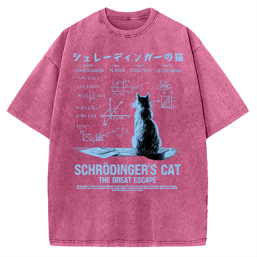 Schrodinger's cat escape plan Vintage Washed T-shirt