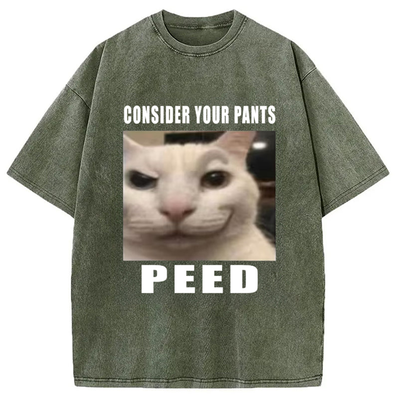 Consider Your Pants Peed Meme Washed T-Shirt