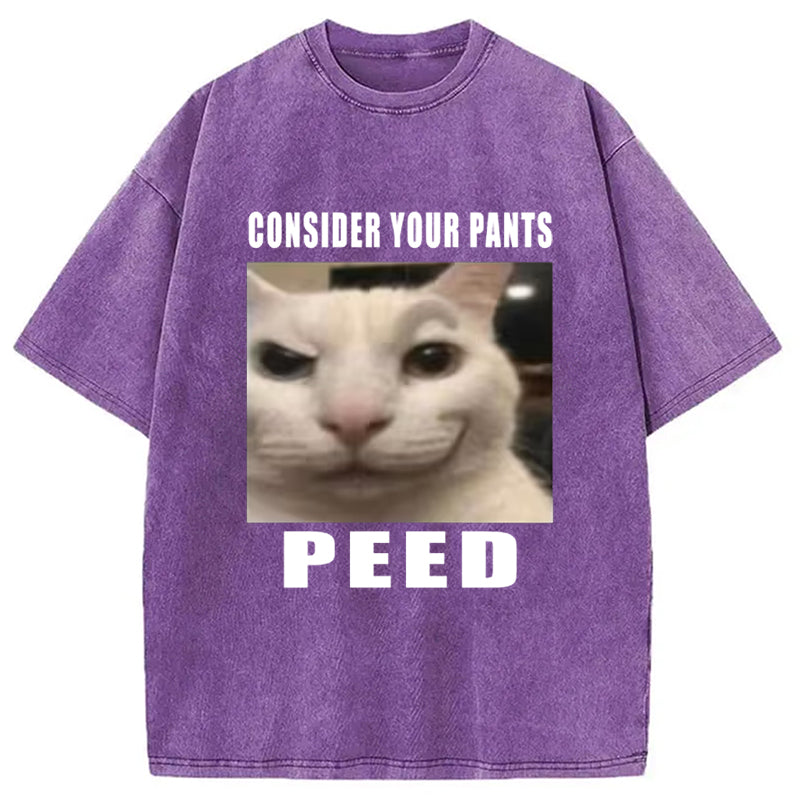 Consider Your Pants Peed Meme Washed T-Shirt
