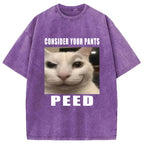 Consider Your Pants Peed Meme Washed T-Shirt