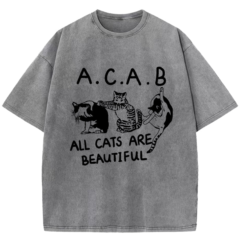 All Cats Are Beautiful Washed T-Shirt