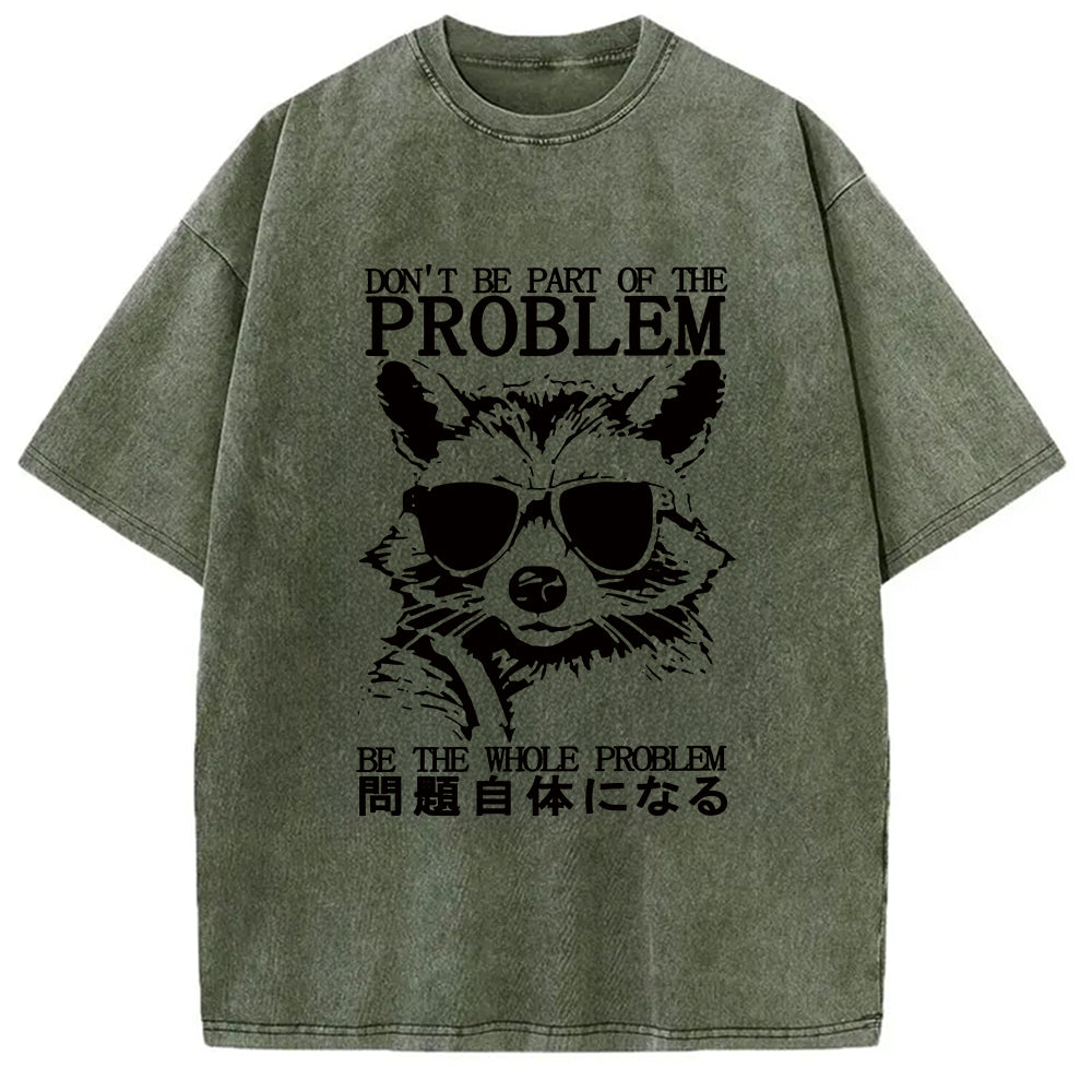 Be The Whole Problem Raccoon Washed T-Shirt