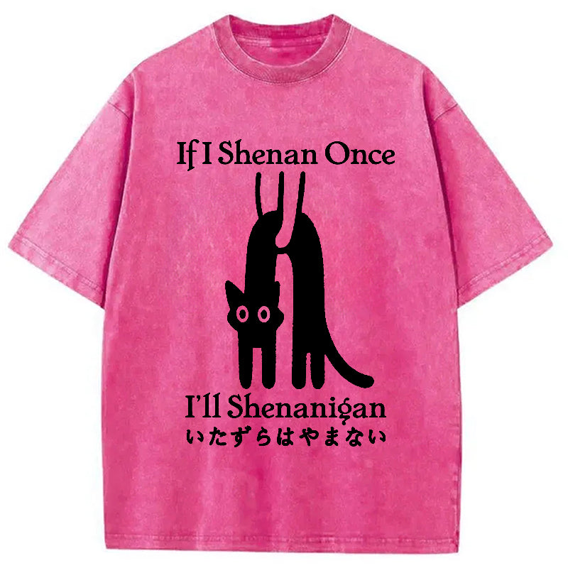 If I Shenan Once I'll Shenanigan Washed T-Shirt