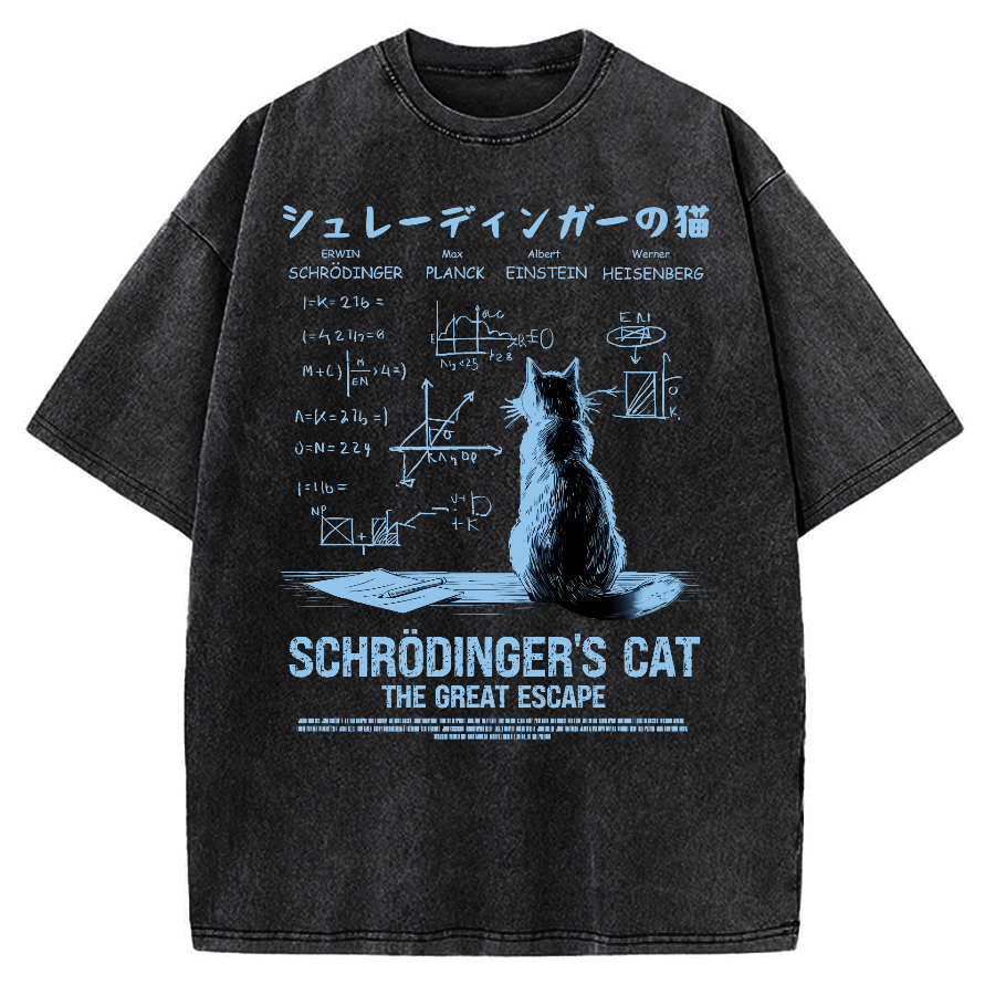 Schrodinger's cat escape plan Vintage Washed T-shirt