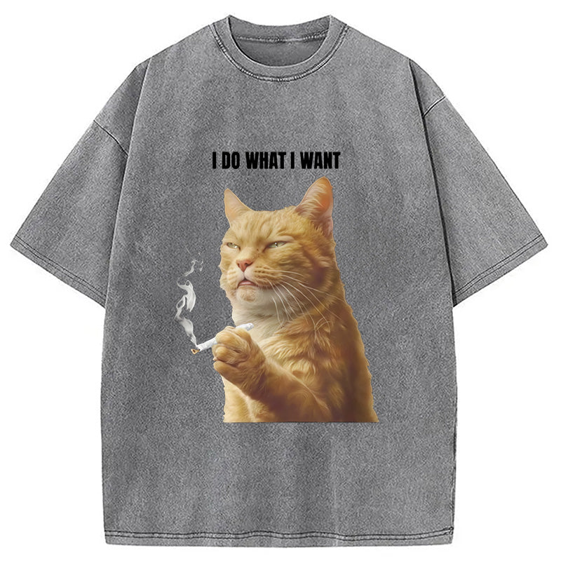 I Do What I Want Washed T-Shirt
