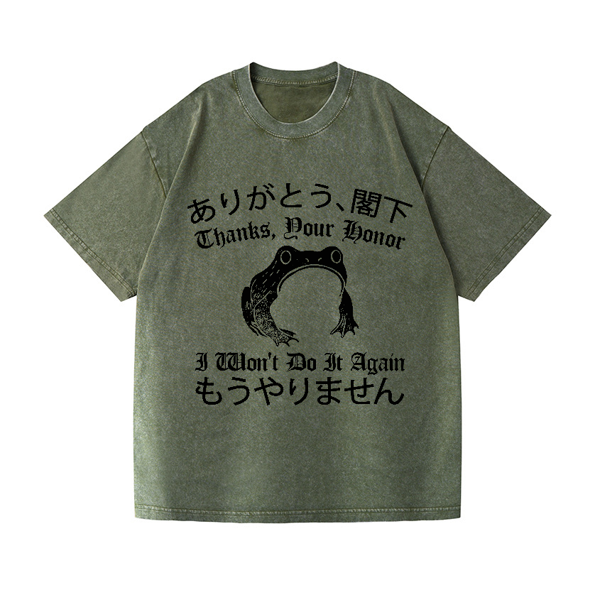 I won't do it again Frog Vintage Wash Japanese Design T-Shirt