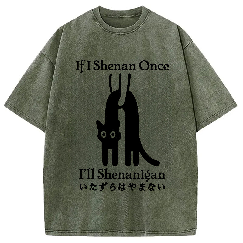 If I Shenan Once I'll Shenanigan Washed T-Shirt