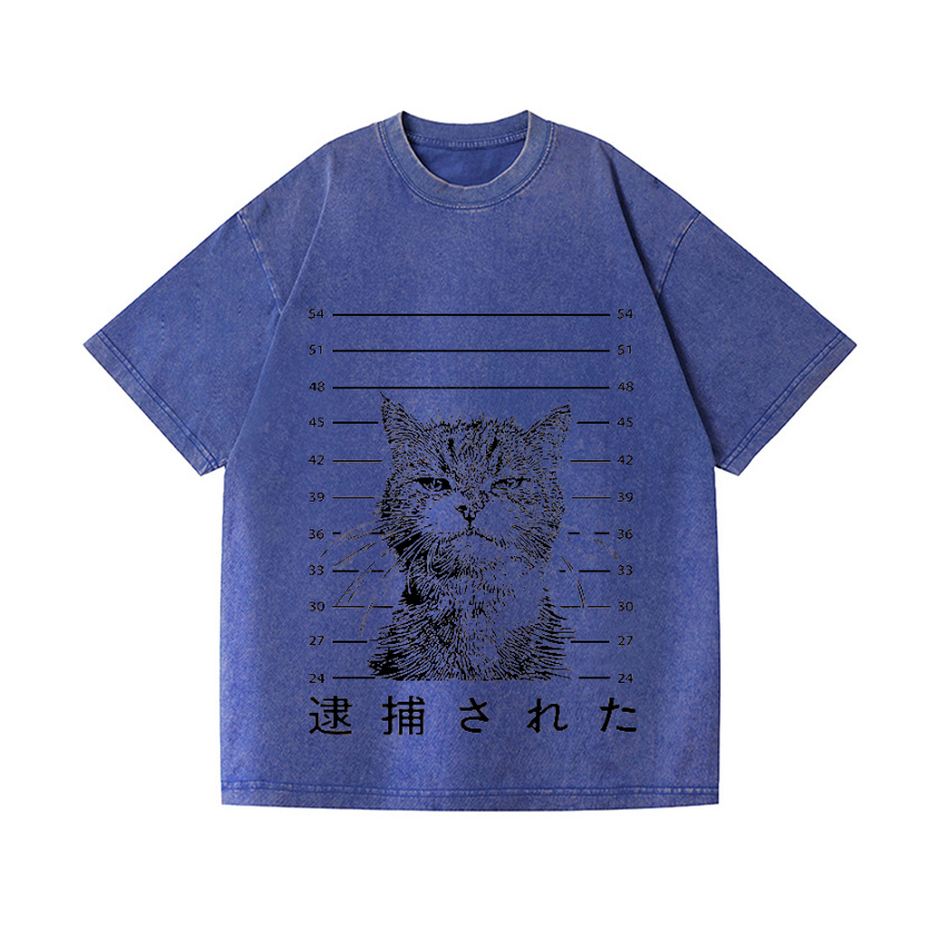 Arrested Cat Vintage Wash Japanese Design T-Shirt