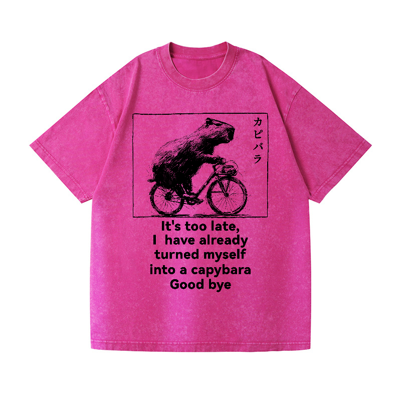 Capybara Vintage Wash Japanese Design T-Shirt
