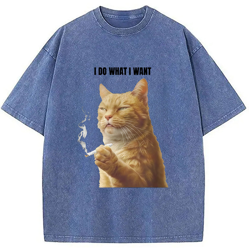 I Do What I Want Washed T-Shirt