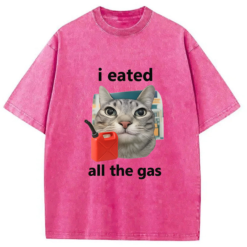 I Eated All The Gas Cat Funny Washed T-Shirt