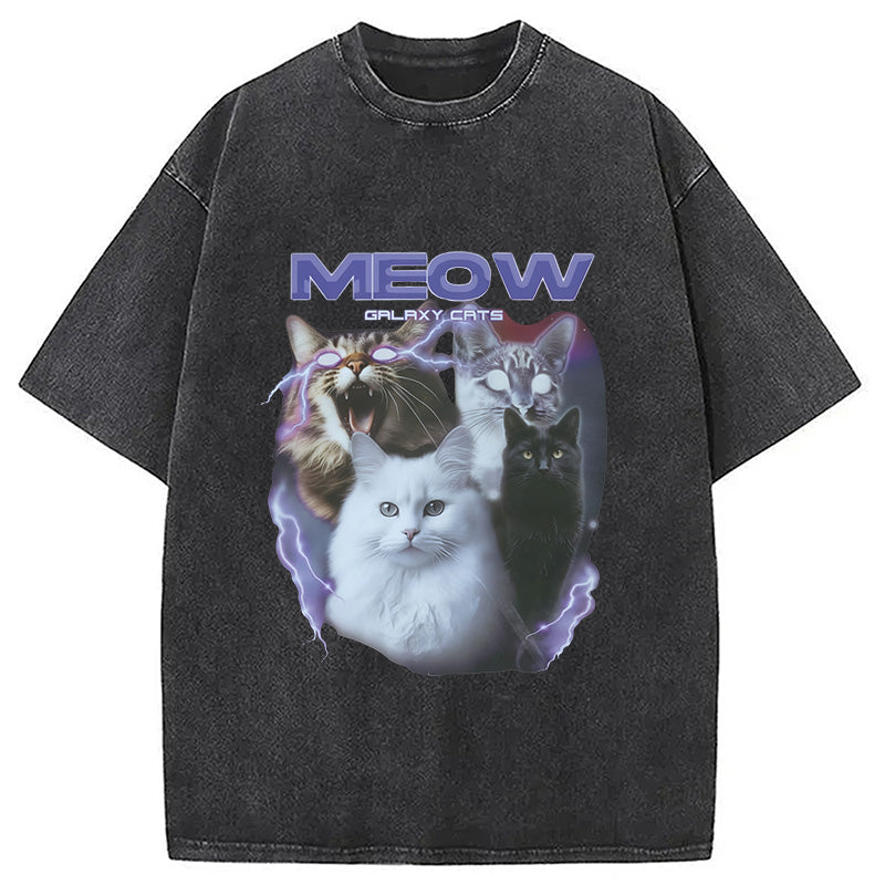 Neow Cat Meme Washed T-Shirt