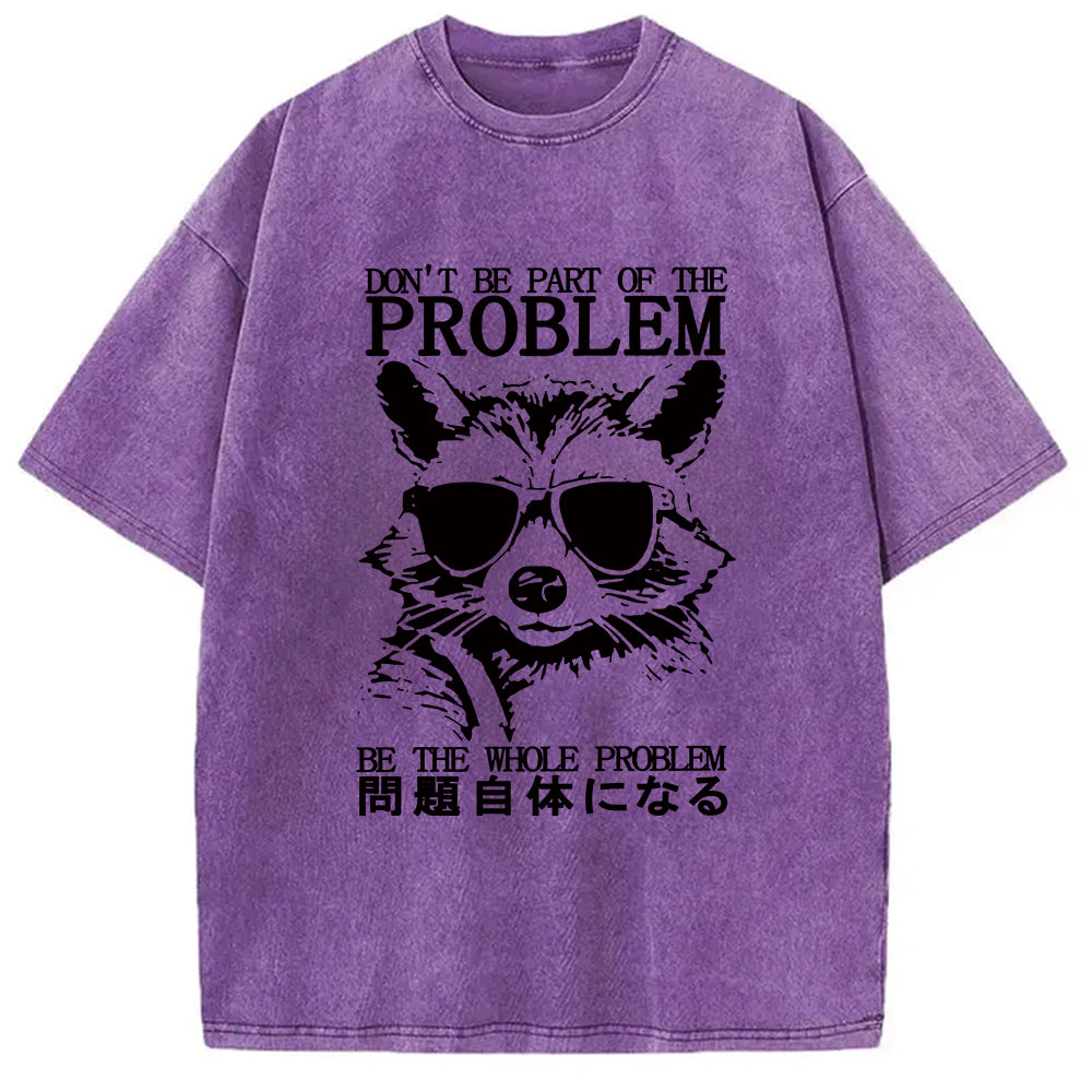 Be The Whole Problem Raccoon Washed T-Shirt