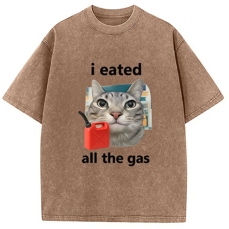 I Eated All The Gas Cat Funny Washed T-Shirt