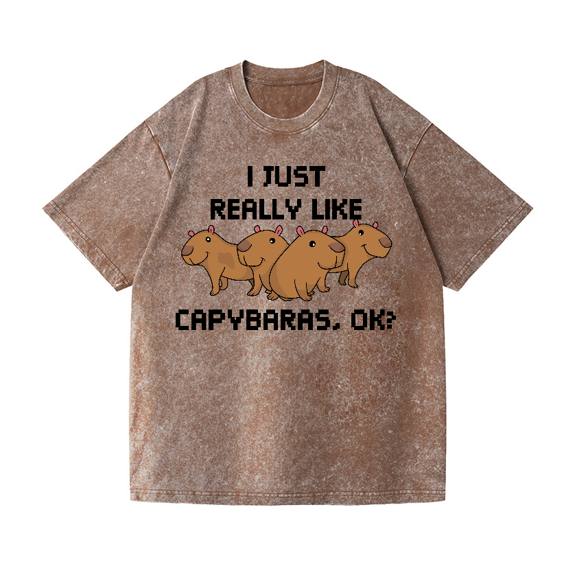 Capybara Vintage Wash Japanese Design T-Shirt