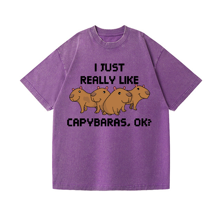 Capybara Vintage Wash Japanese Design T-Shirt