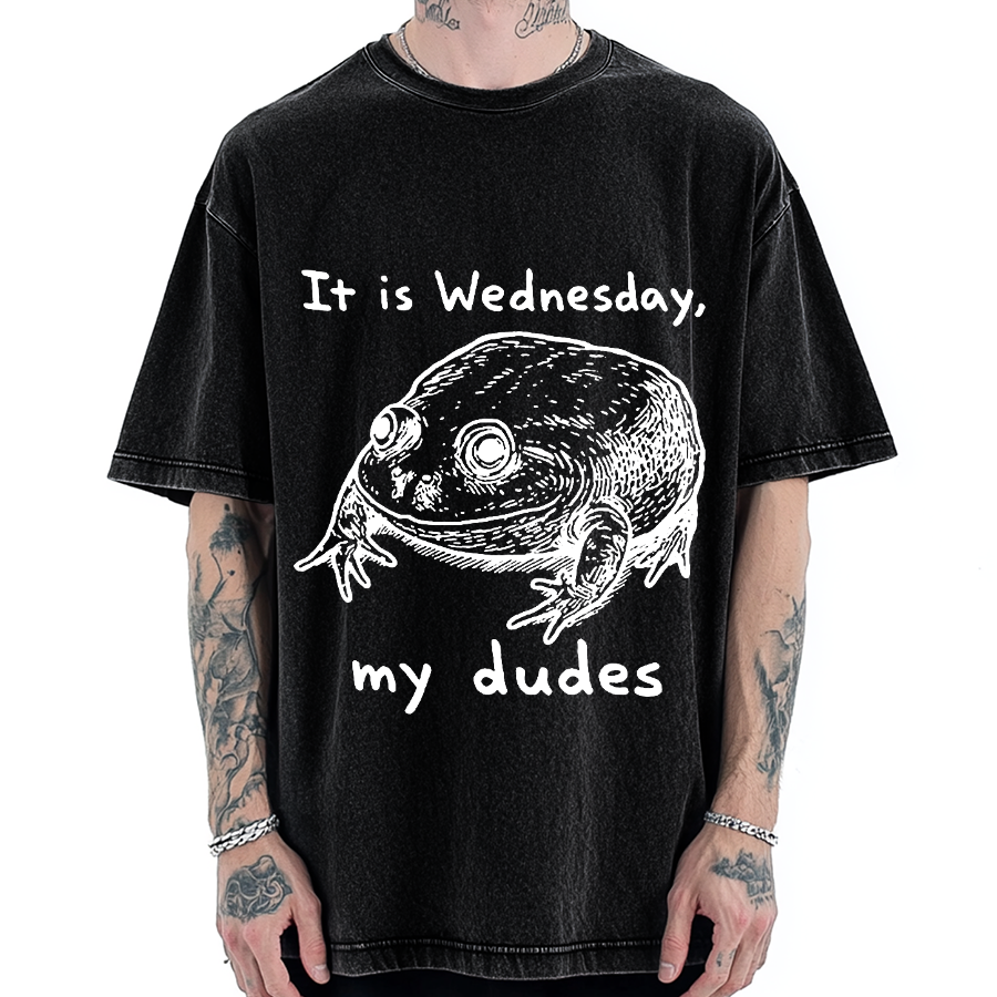 Wensday Frog Vintage Washed T-shirt
