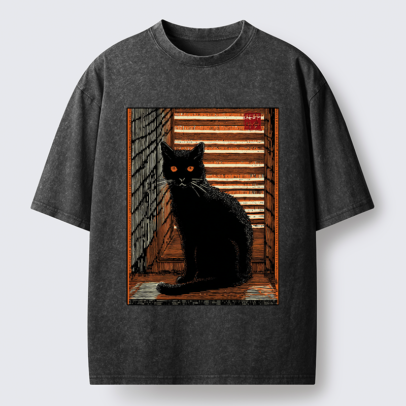 Unisex Guardian of the Steps Washed T-Shirt