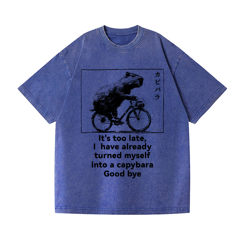 Capybara Vintage Wash Japanese Design T-Shirt