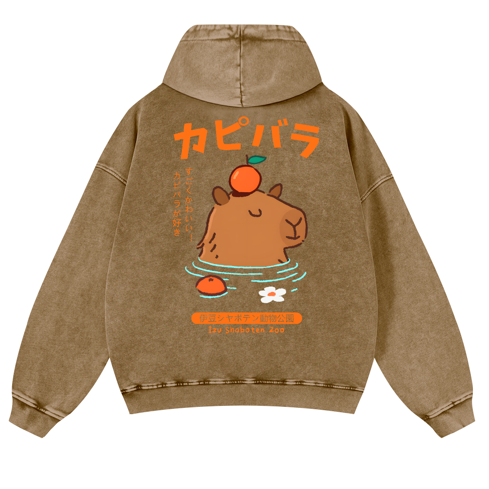 Capybara Vintage Washed Cotton Back Art Hoodie