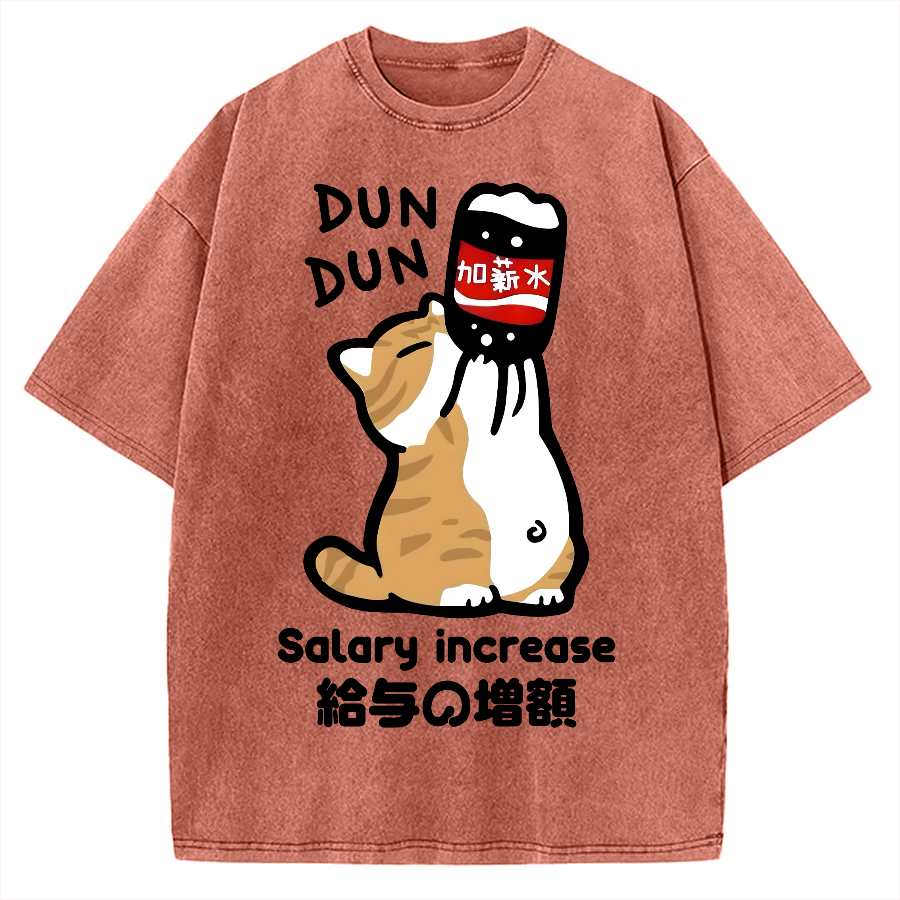 Salary Increase Vintage Washed T-shirt