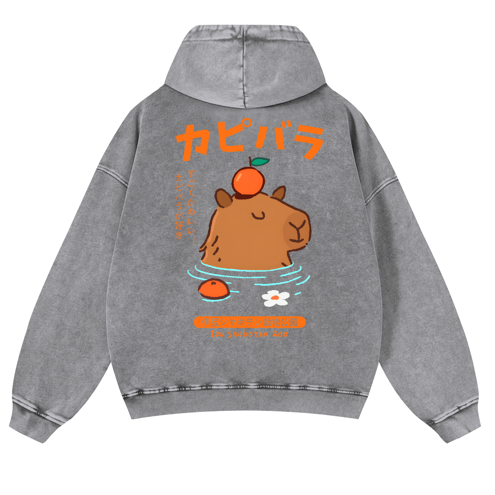 Capybara Vintage Washed Cotton Back Art Hoodie