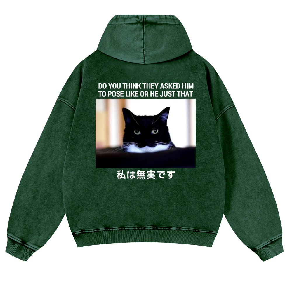 Cat Vintage Washed Cotton Back Art Hoodie