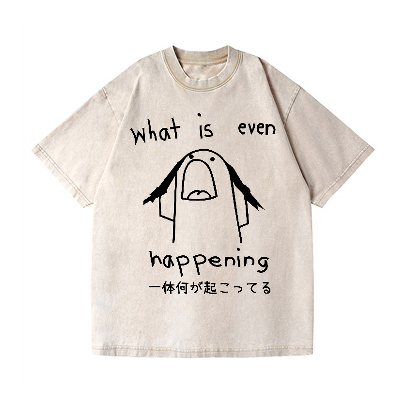 What Is Happening Vintage Wash Japanese Design T-Shirt