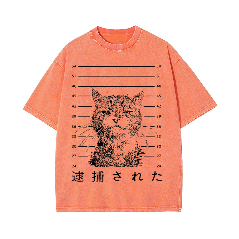 Arrested Cat Vintage Wash Japanese Design T-Shirt