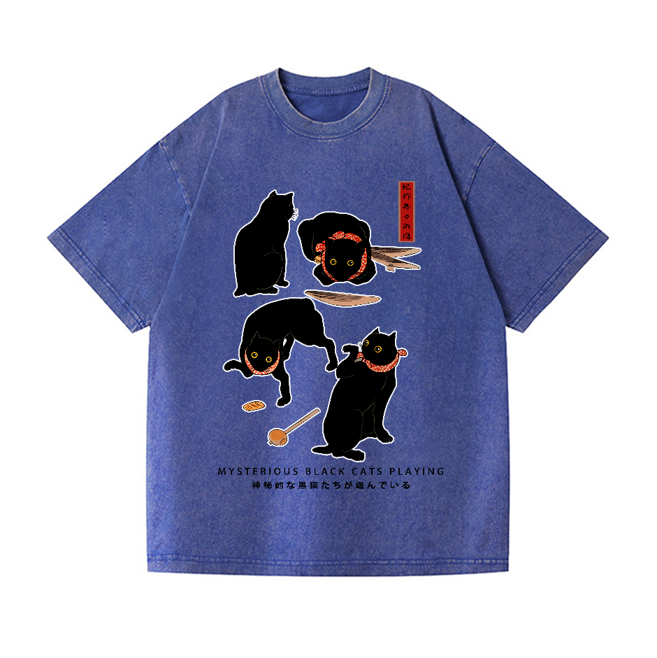 Black Cat Vintage Wash Japanese Design T-Shirt