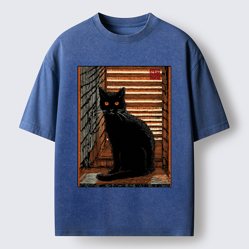 Unisex Guardian of the Steps Washed T-Shirt