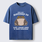 Unisex Frog Life Crisis Washed T-Shirt