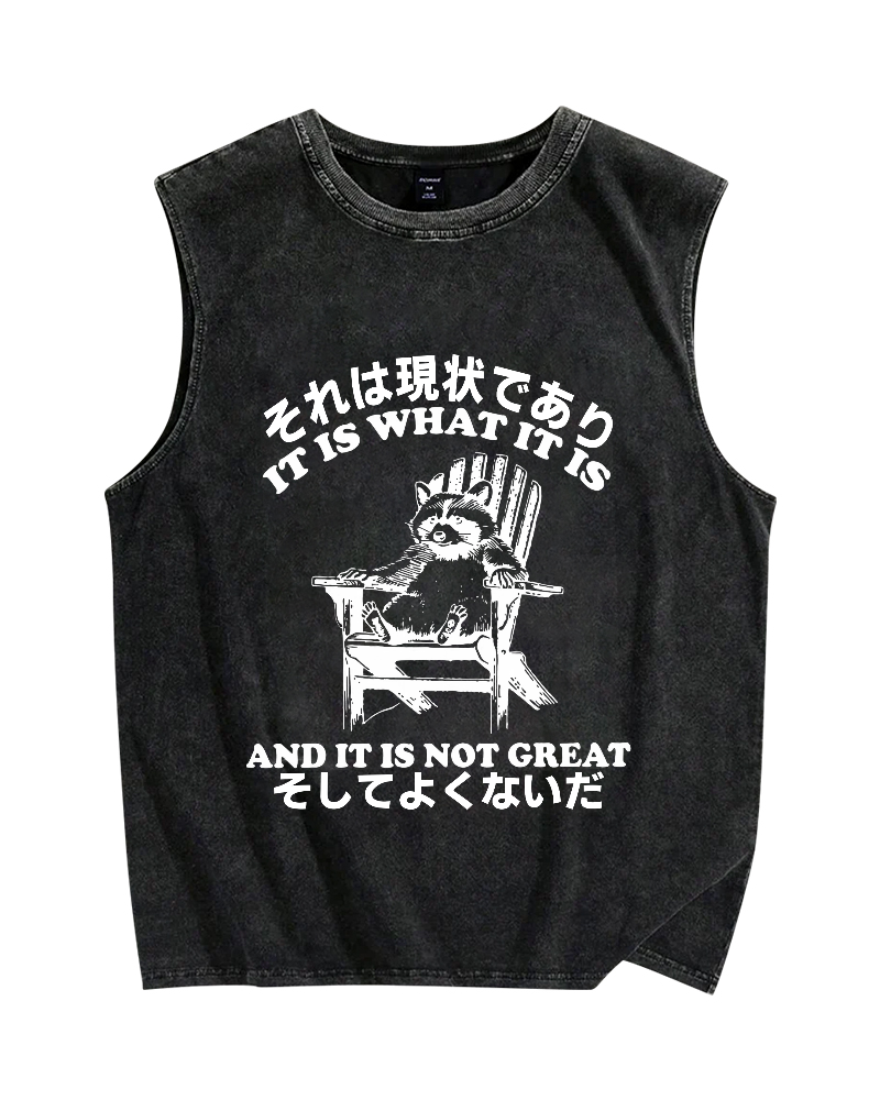 Bad Condition Raccoon Vintage Distressed Washed Tank Top
