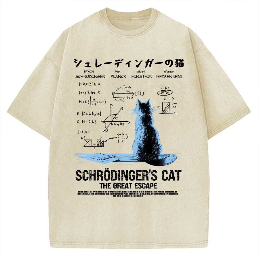 Schrodinger's cat escape plan Vintage Washed T-shirt