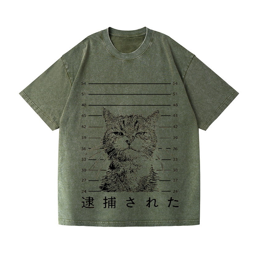Arrested Cat Vintage Wash Japanese Design T-Shirt