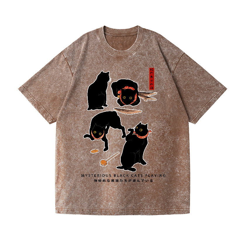 Black Cat Vintage Wash Japanese Design T-Shirt