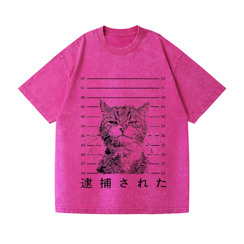 Arrested Cat Vintage Wash Japanese Design T-Shirt
